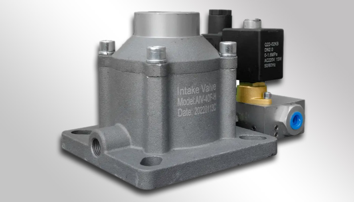 Intake Valve Assembly